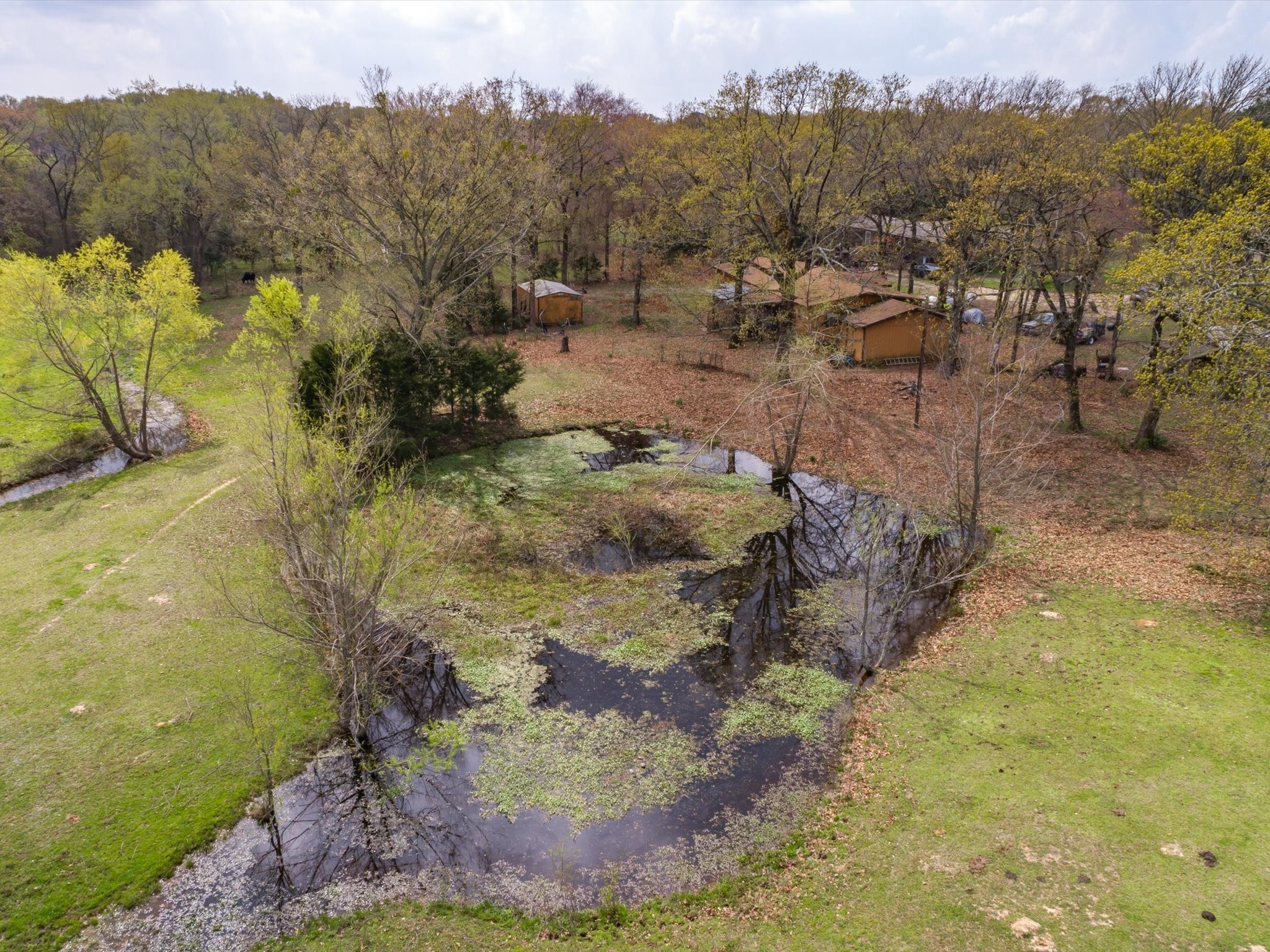 1940 County Road 1800 Yantis TX 75497