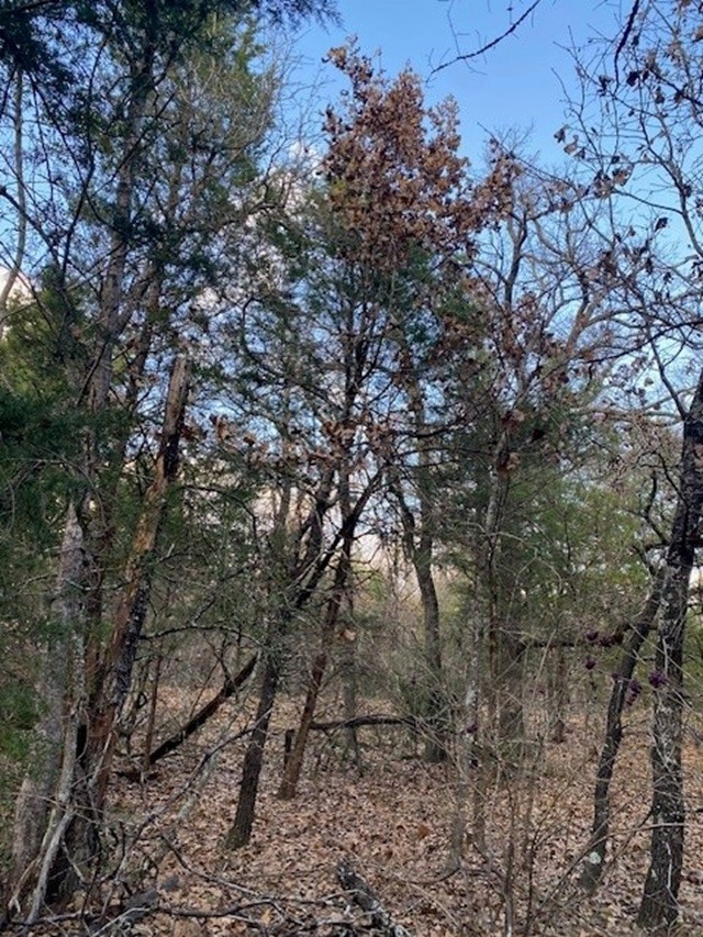 Tbd N Cr 1200 Athens TX 75751