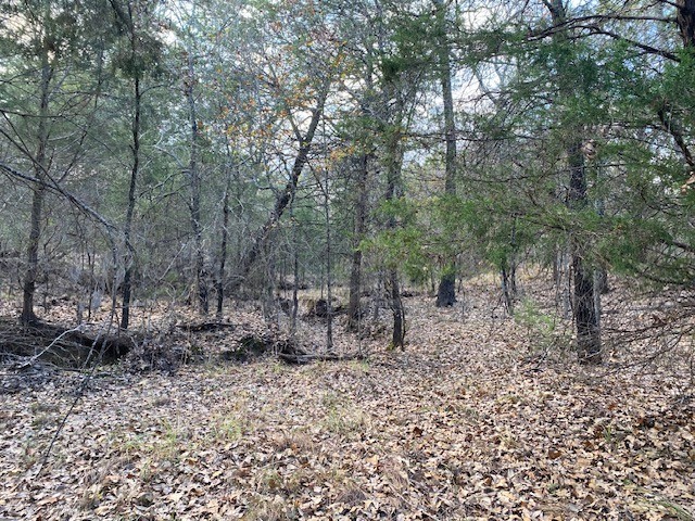 Tbd N Cr 1200 Athens TX 75751