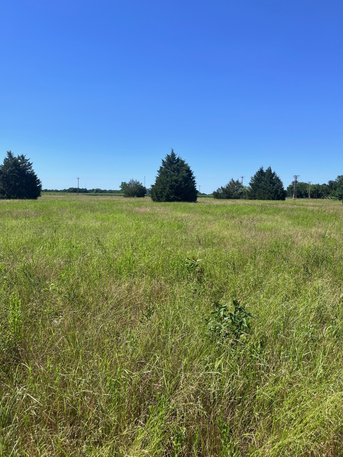 00 SE Cr 3321 Kerens TX 75144