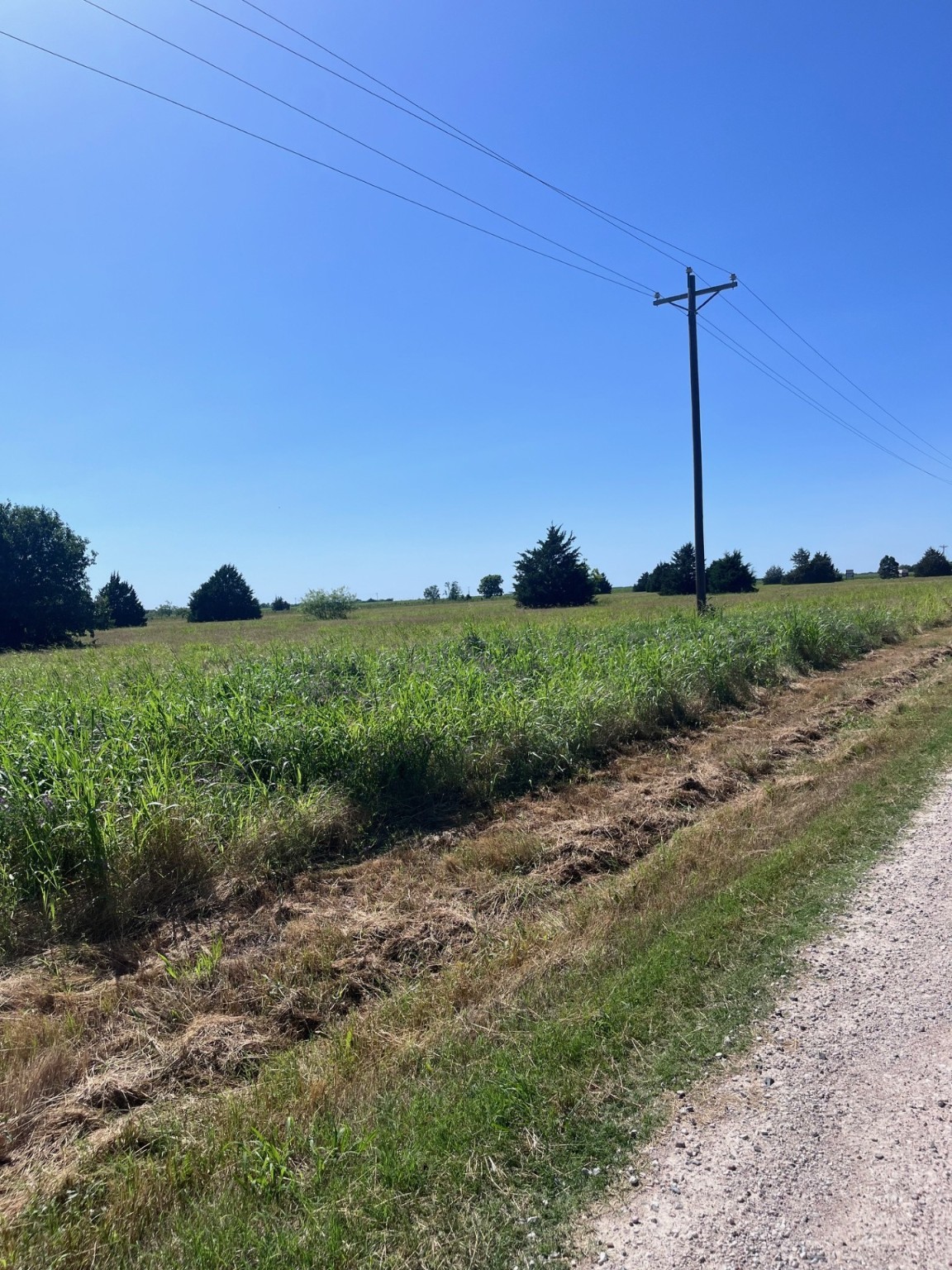 00 SE Cr 3321 Kerens TX 75144