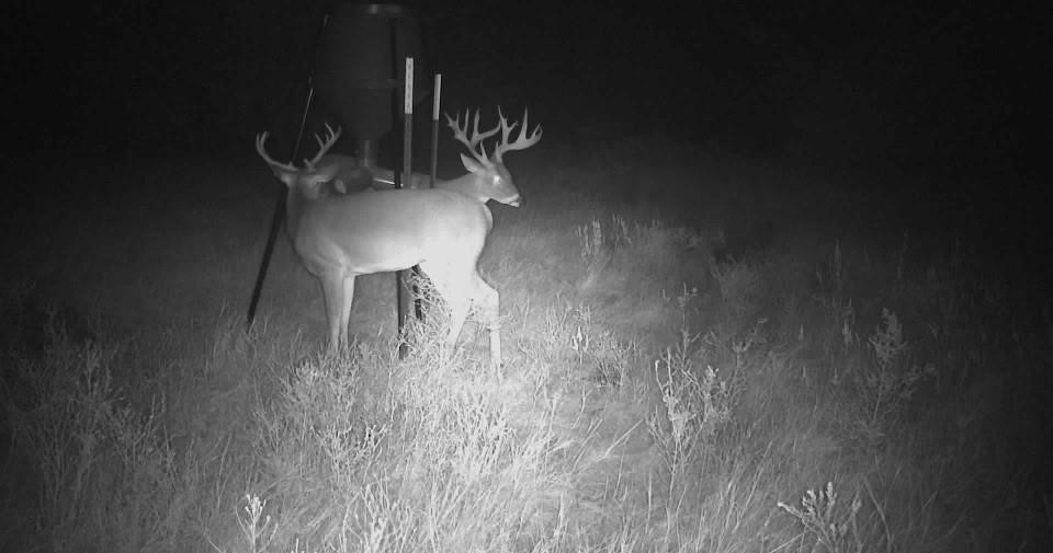 207 Possom Trot Hollow Road Whitewright TX 75491