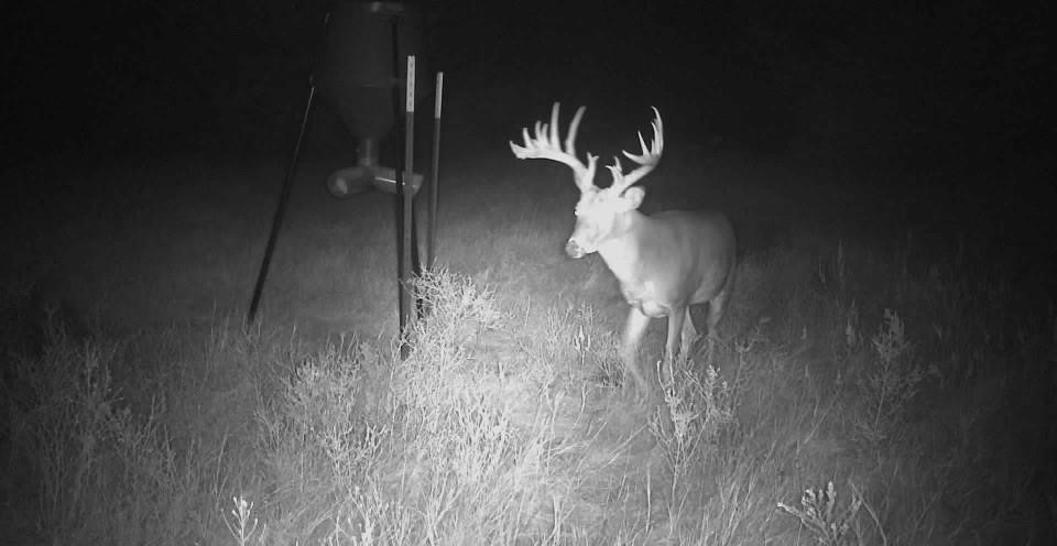 207 Possom Trot Hollow Road Whitewright TX 75491