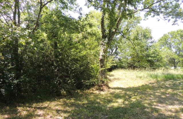 Tbd County Road 3303 Greenville TX 75401