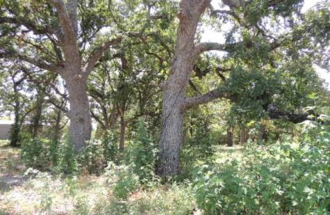 Tbd County Road 3303 Greenville TX 75401
