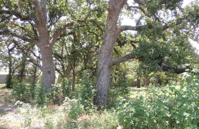 Tbd County Road 3303 Greenville TX 75401