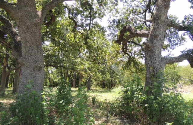 Tbd County Road 3303 Greenville TX 75401