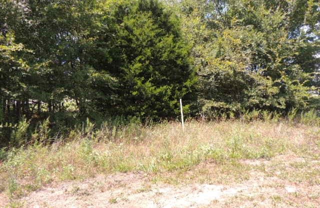 Tbd County Road 3303 Greenville TX 75401