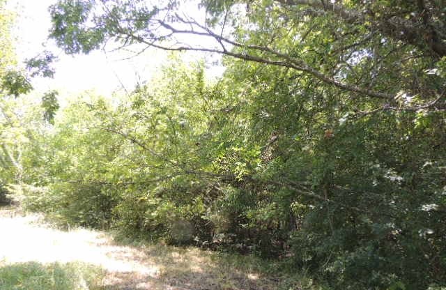 Tbd County Road 3303 Greenville TX 75401