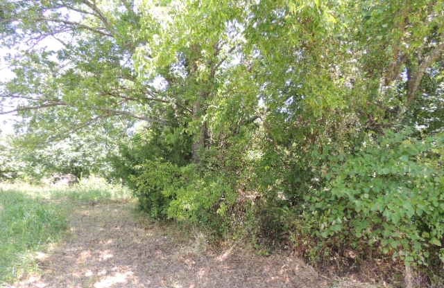 Tbd County Road 3303 Greenville TX 75401