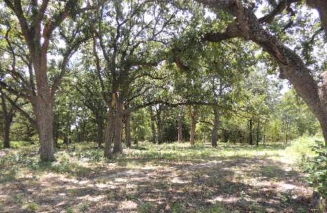 Tbd County Road 3303 Greenville TX 75401