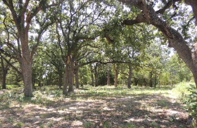 Tbd County Road 3303 Greenville TX 75401