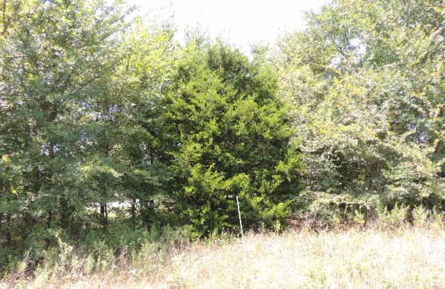 Tbd County Road 3303 Greenville TX 75401