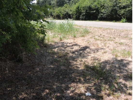 Tbd County Road 3303 Greenville TX 75401