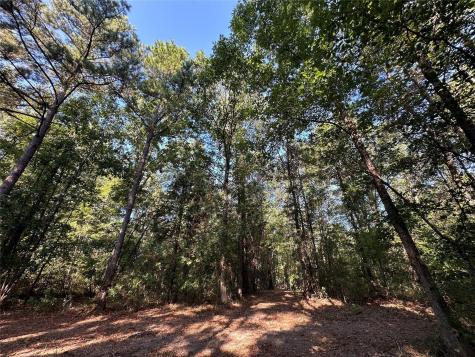10 Acres Fm 852 Gilmer TX 75644