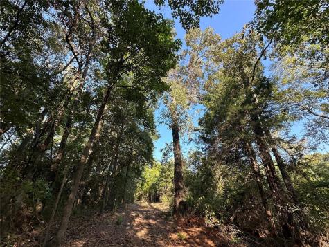 10 Acres Fm 852 Gilmer TX 75644
