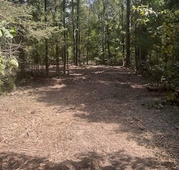 10 Acres Fm 852 Gilmer TX 75644