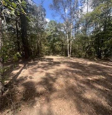 10 Acres Fm 852 Gilmer TX 75644