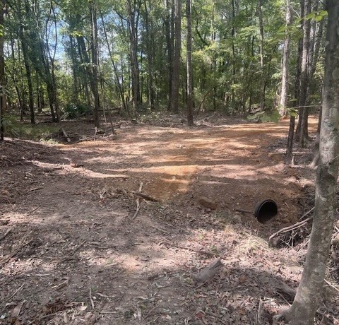 10 Acres Fm 852 Gilmer TX 75644