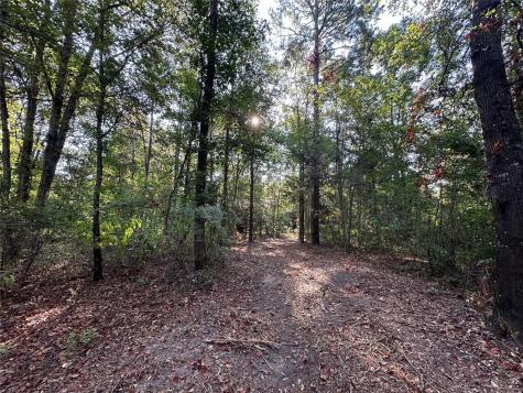 10 Acres Fm 852 Gilmer TX 75644