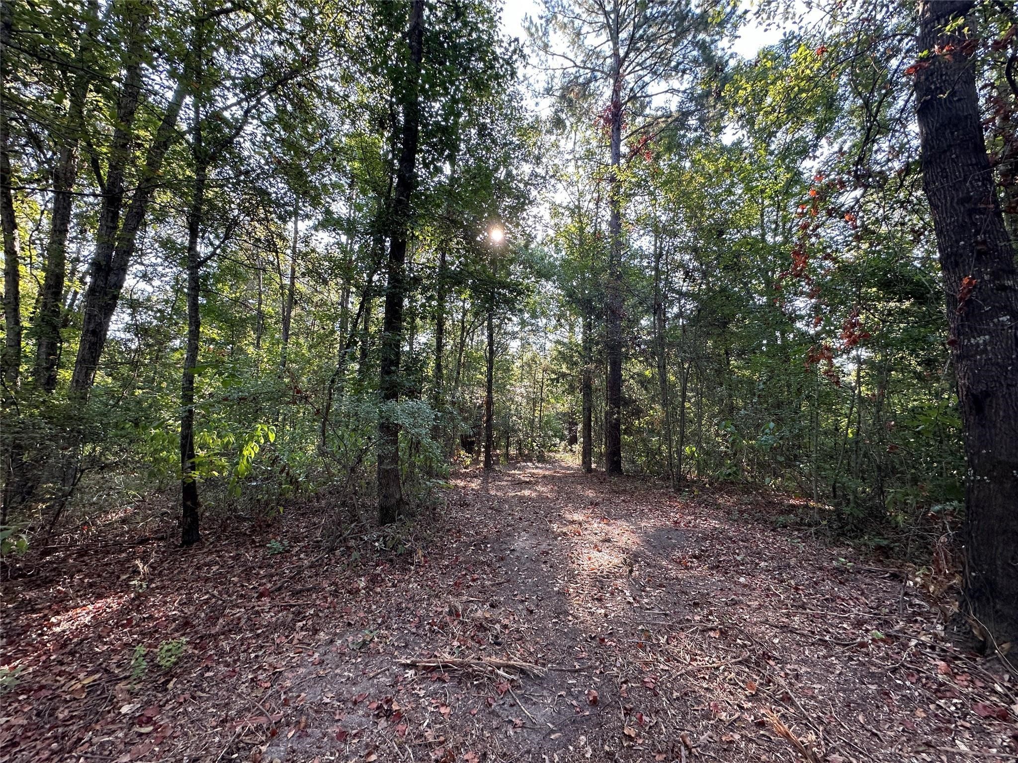 10 Acres Fm 852 Gilmer TX 75644