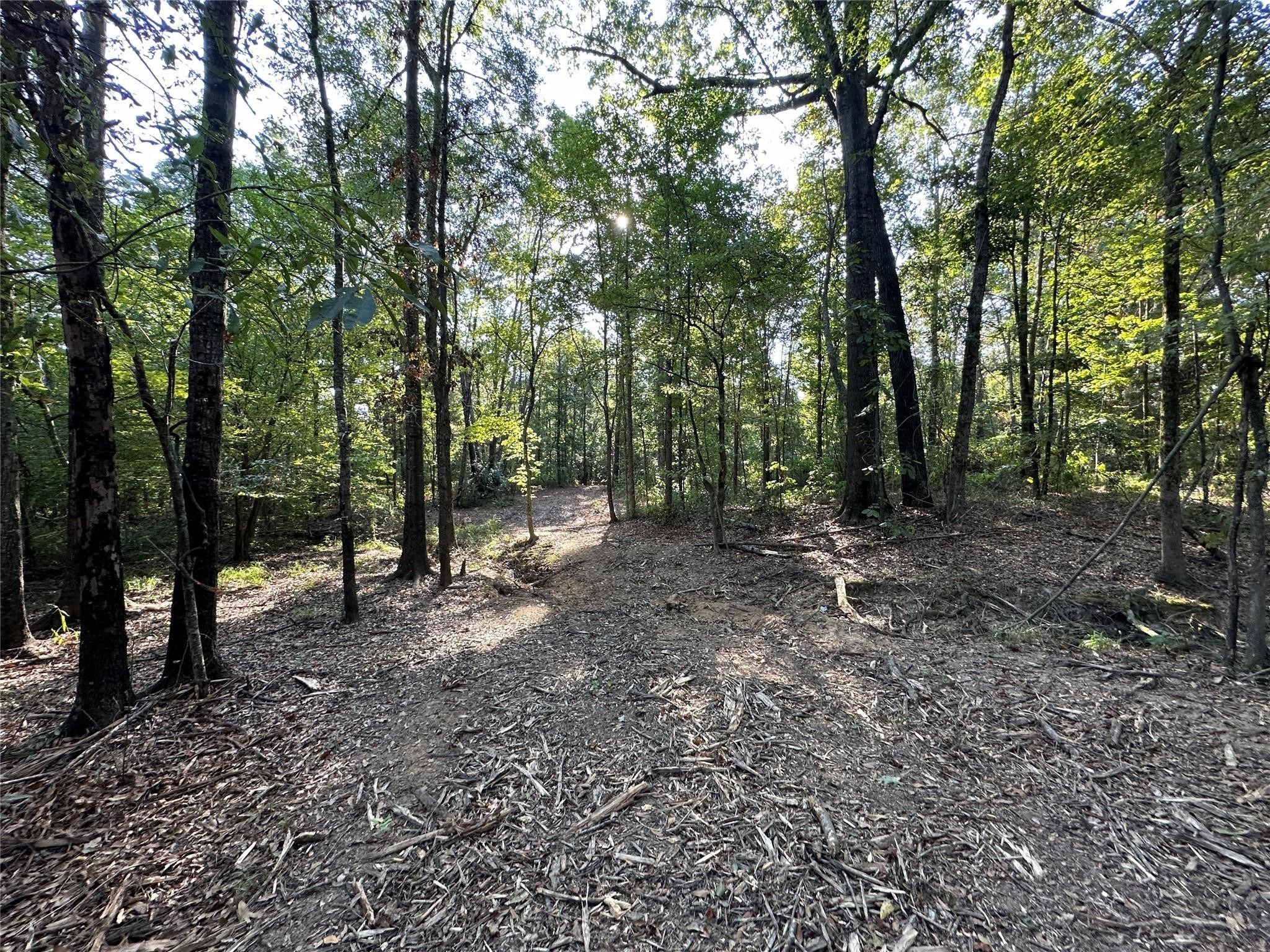 10 Acres Fm 852 Gilmer TX 75644