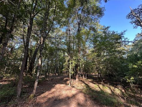 10 Acres Fm 852 Gilmer TX 75644