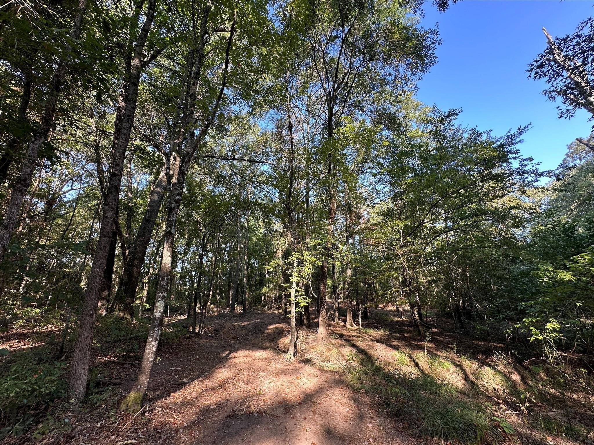 10 Acres Fm 852 Gilmer TX 75644