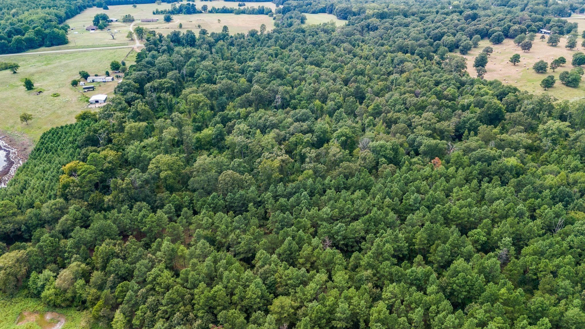 10 Acres Fm 852 Gilmer TX 75644
