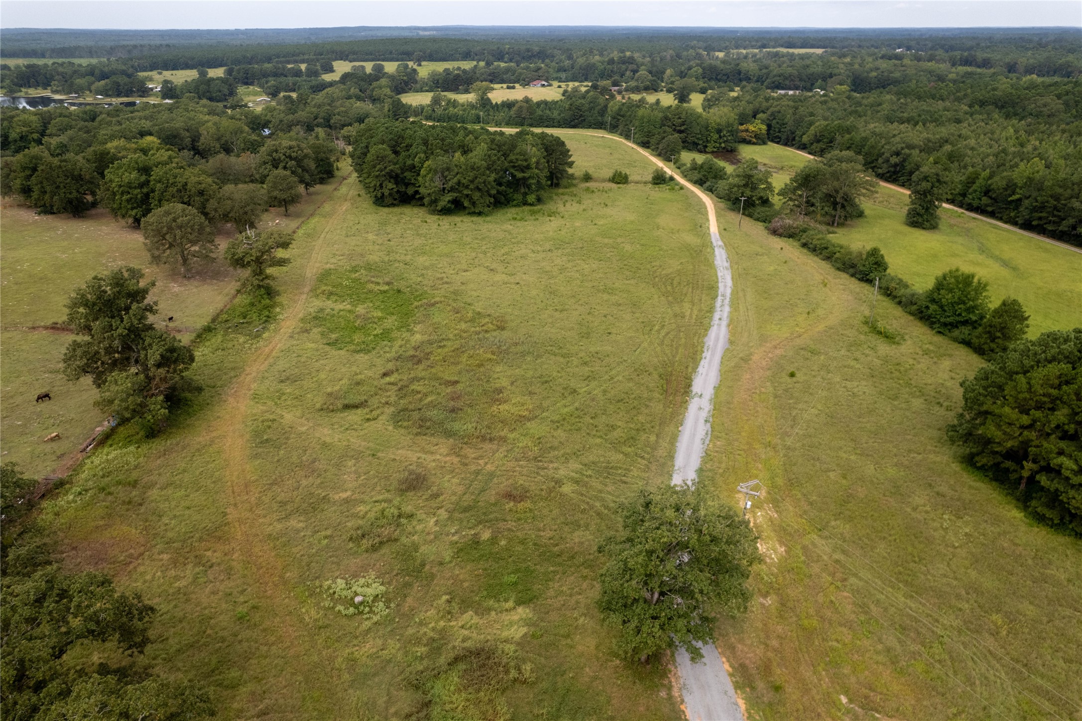 Lake Country (Lot 1 & 1a) Tx-77 Atlanta TX 75551