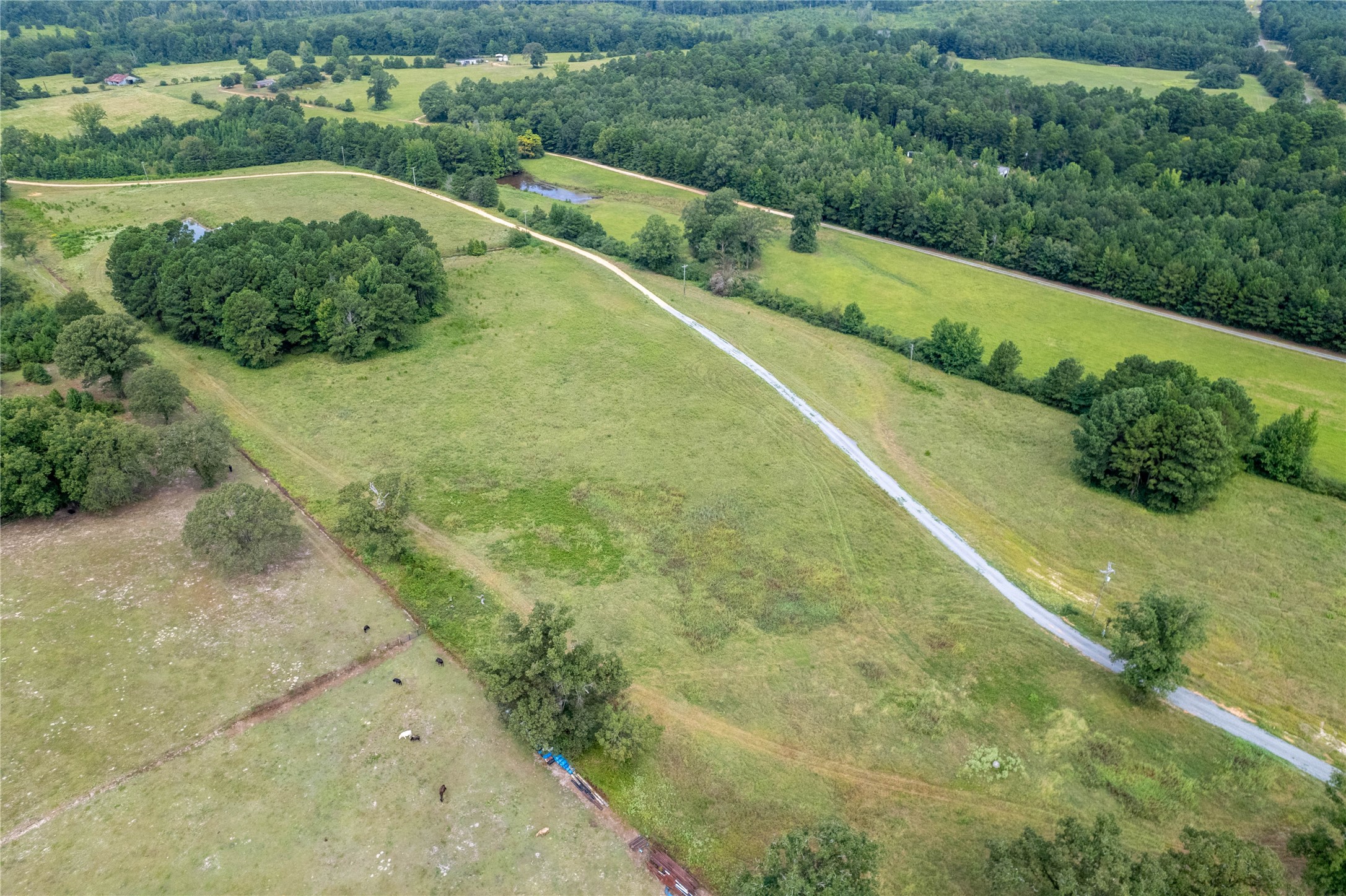 Lake Country (Lot 1 & 1a) Tx-77 Atlanta TX 75551