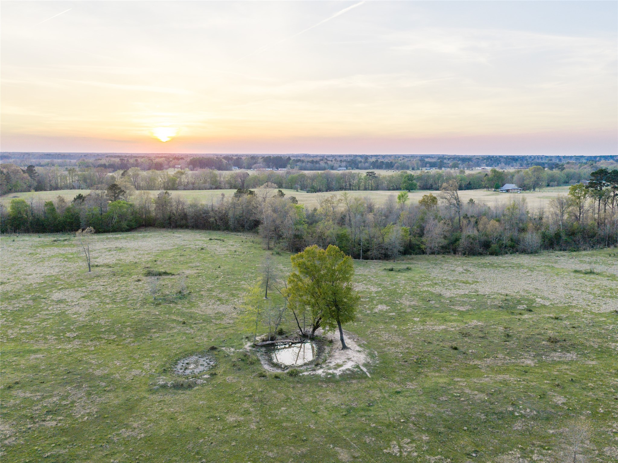 Tbd Fm 990 Simms TX 75574