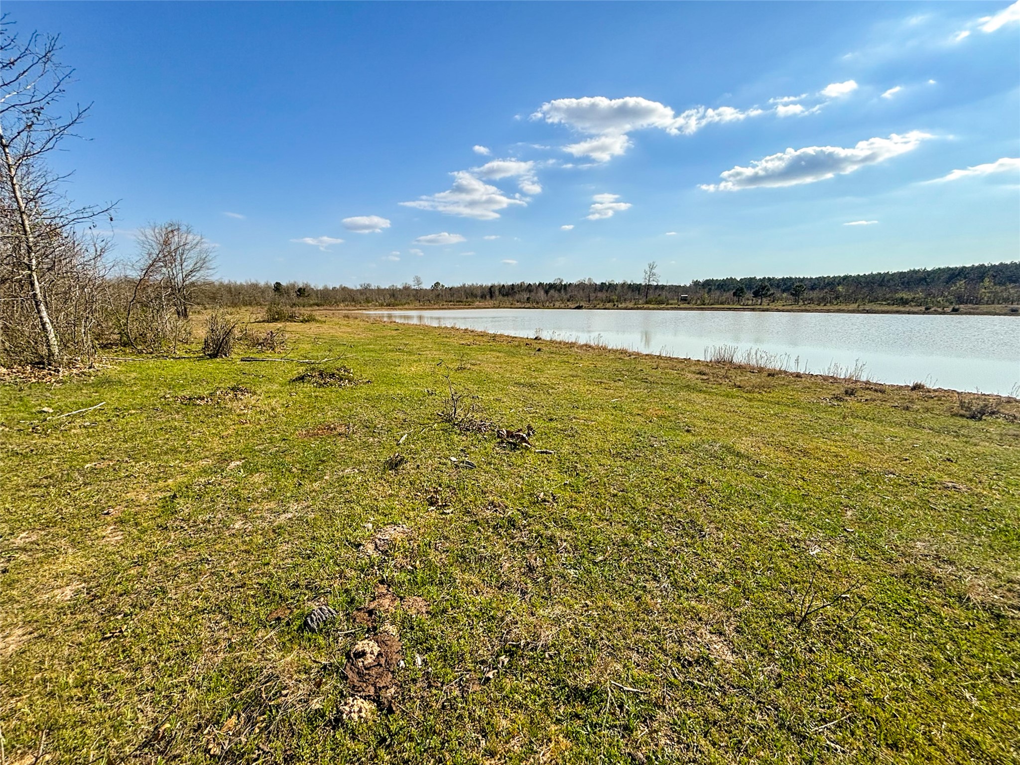 Tbd Fm 990 Simms TX 75574