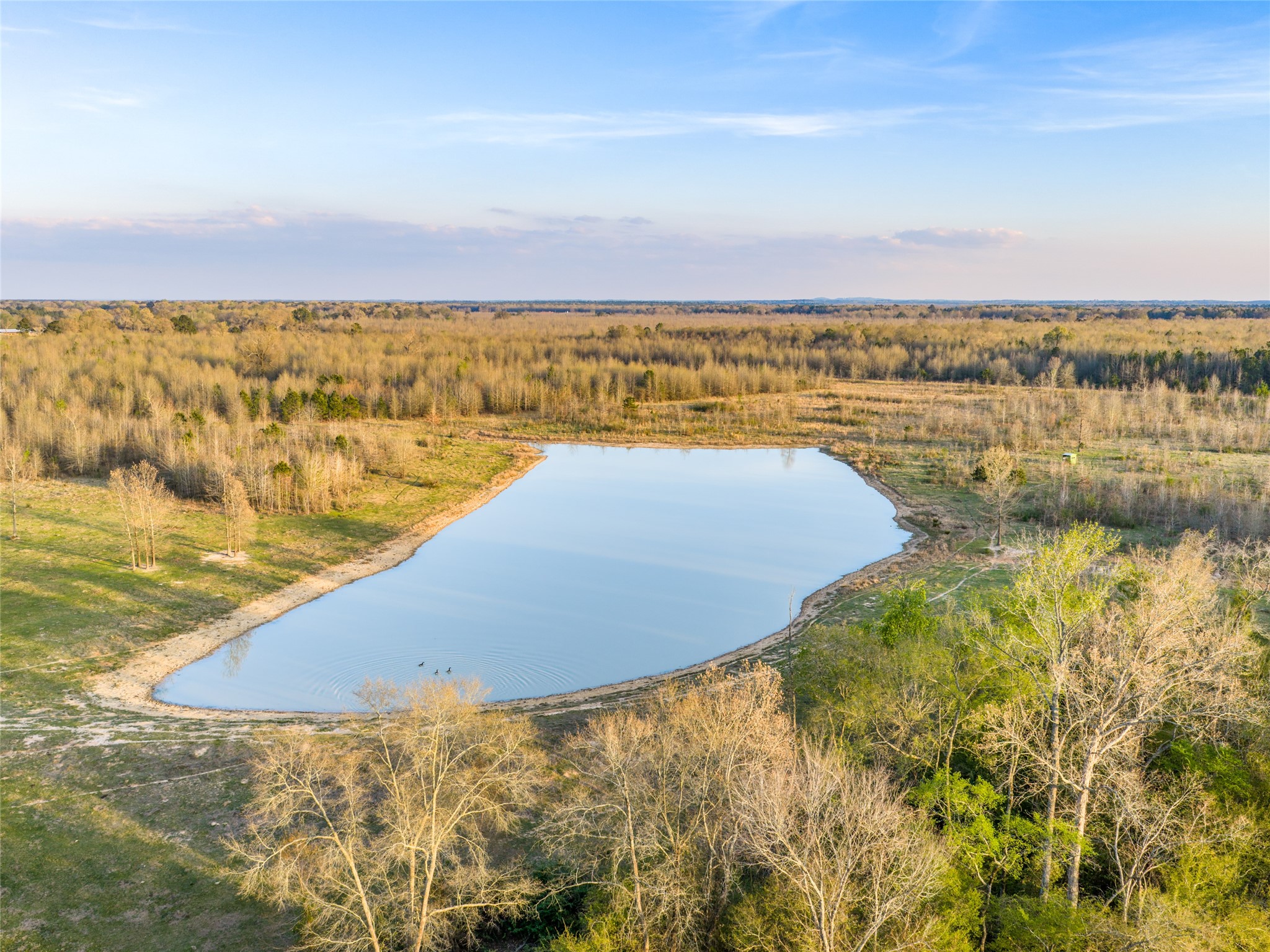 Tbd Fm 990 Simms TX 75574