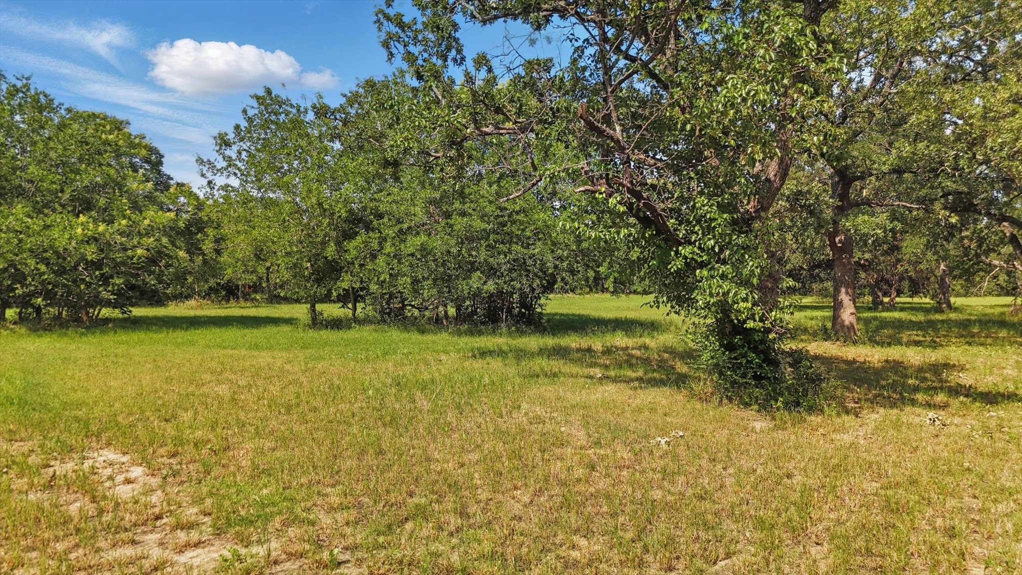 TBD5 W Shady Shores Shady Shores TX 76210