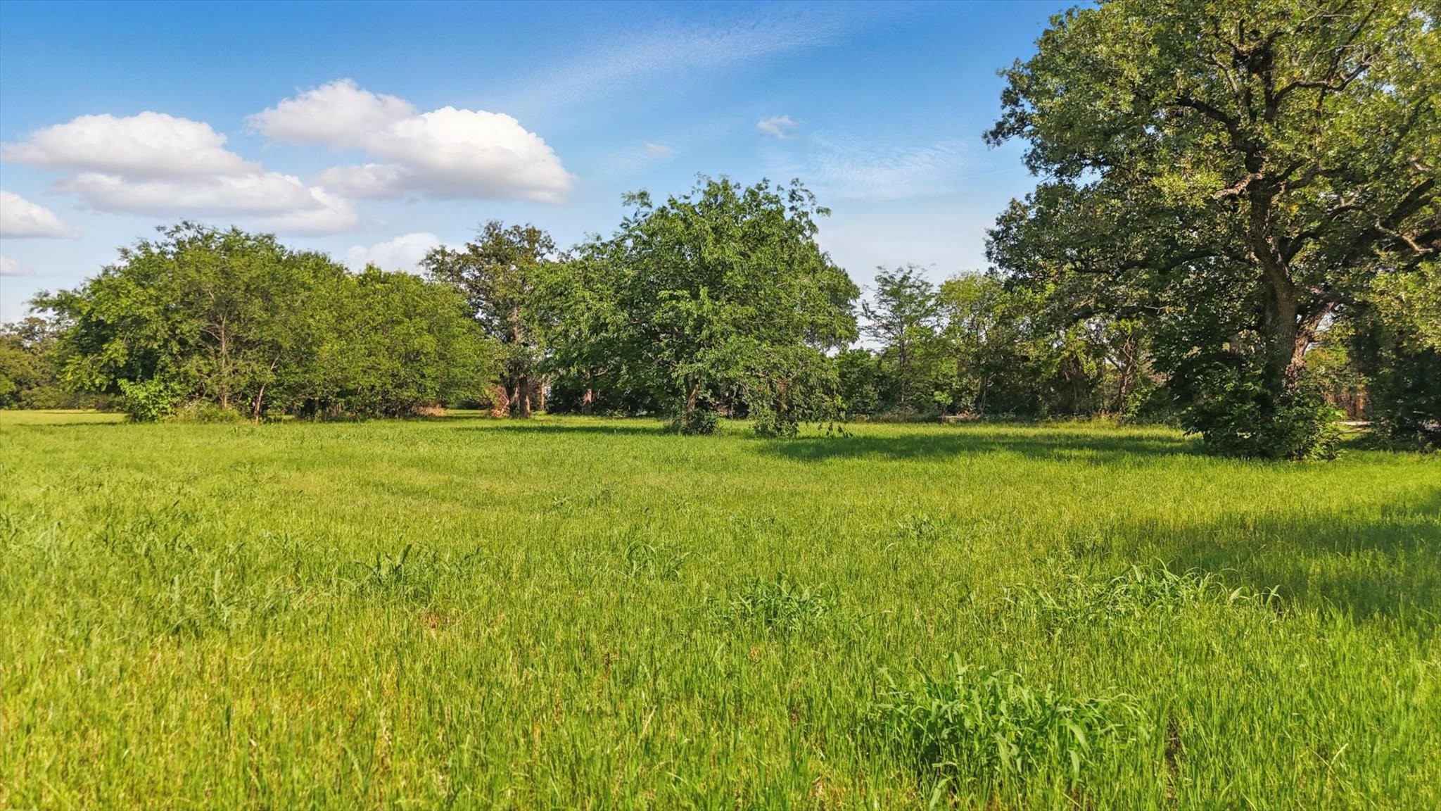 TBD5 W Shady Shores Shady Shores TX 76210