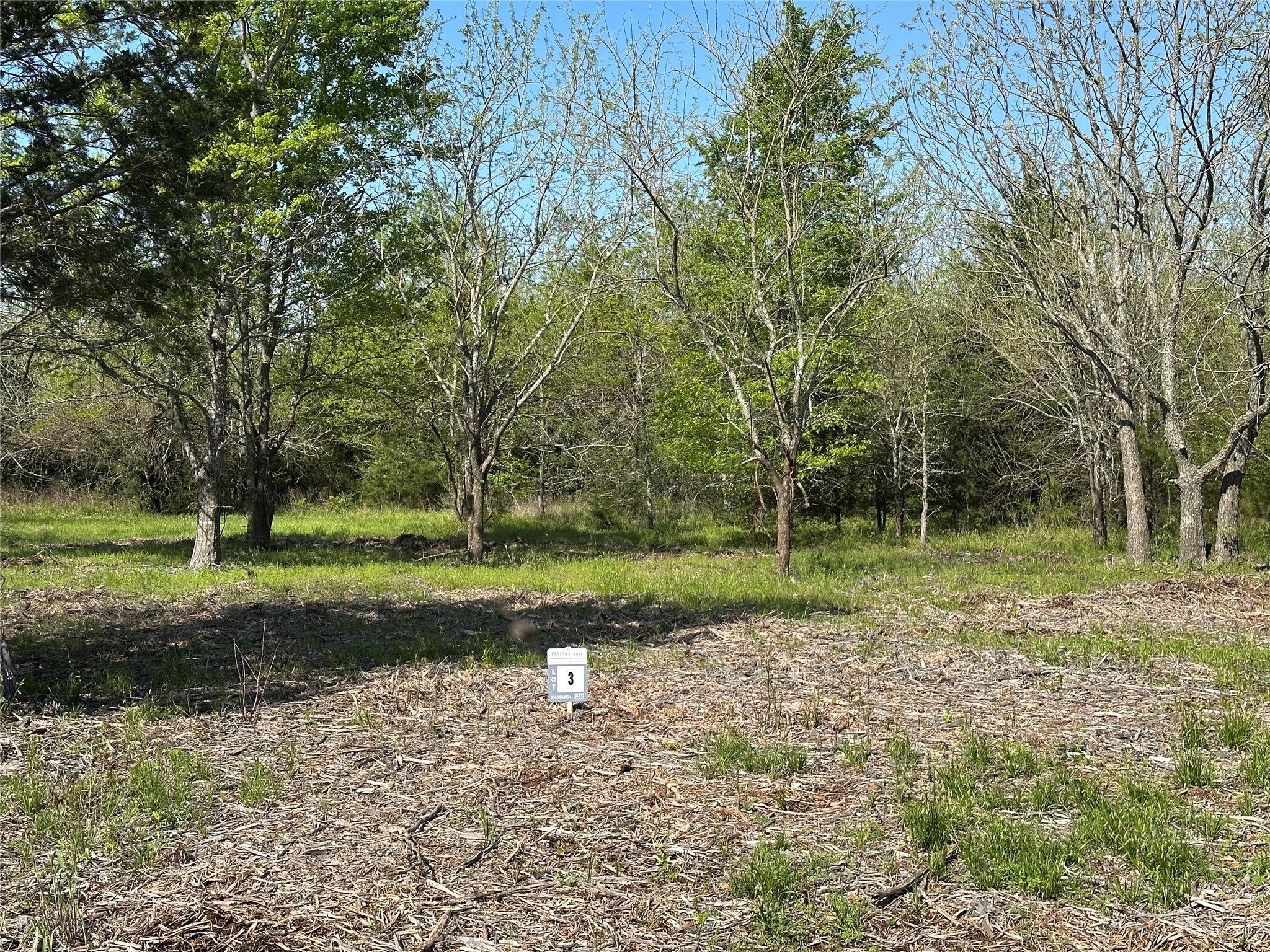 Tract 3 Farm To Market 1743 Honey Grove TX 75446