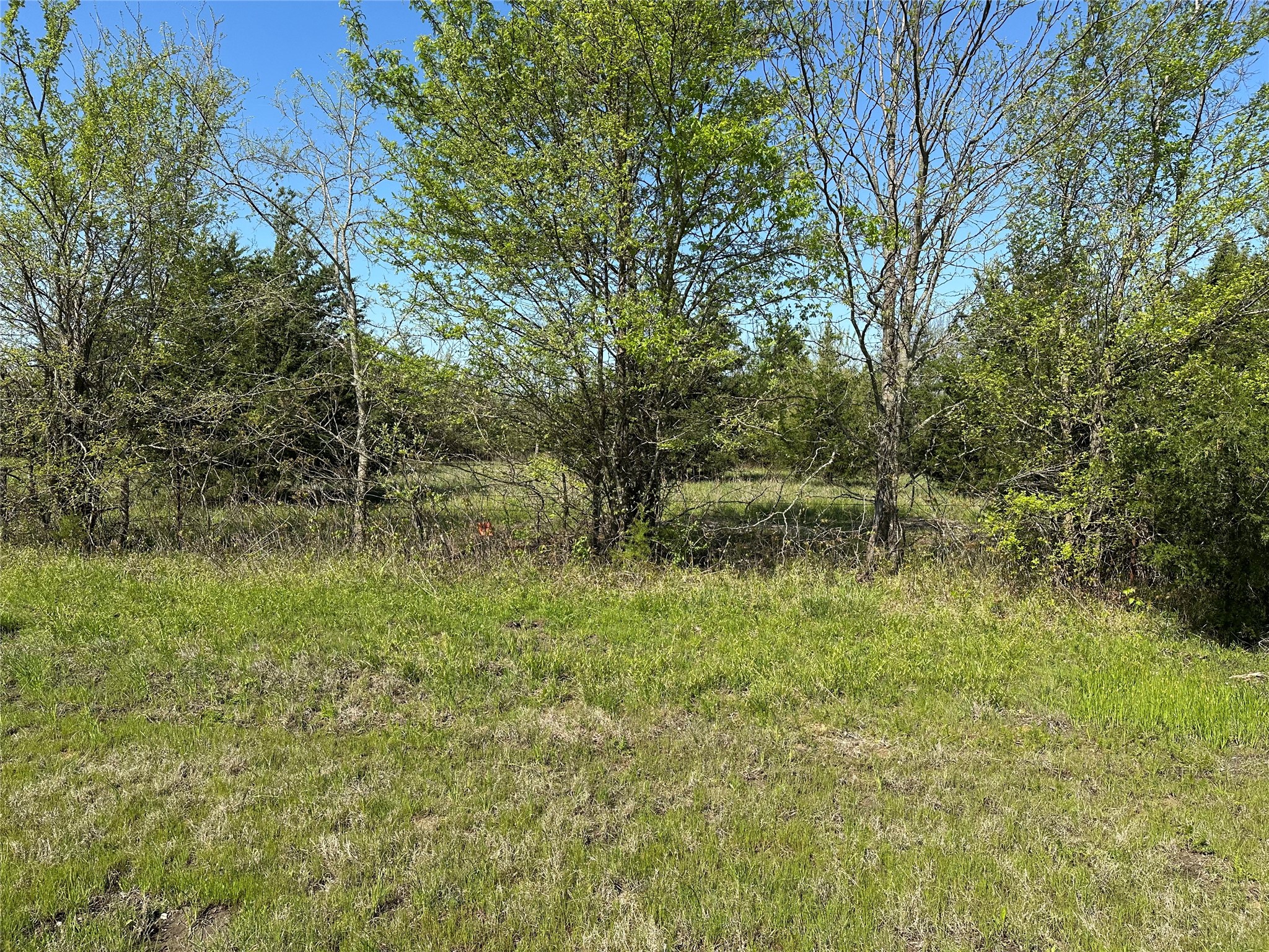 Tract 3 Farm To Market 1743 Honey Grove TX 75446