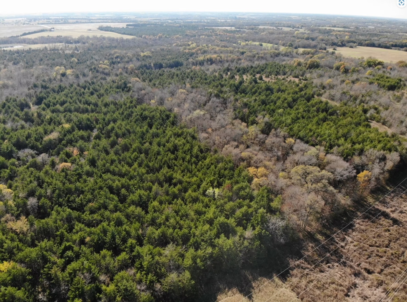 Tract 3 Farm To Market 1743 Honey Grove TX 75446