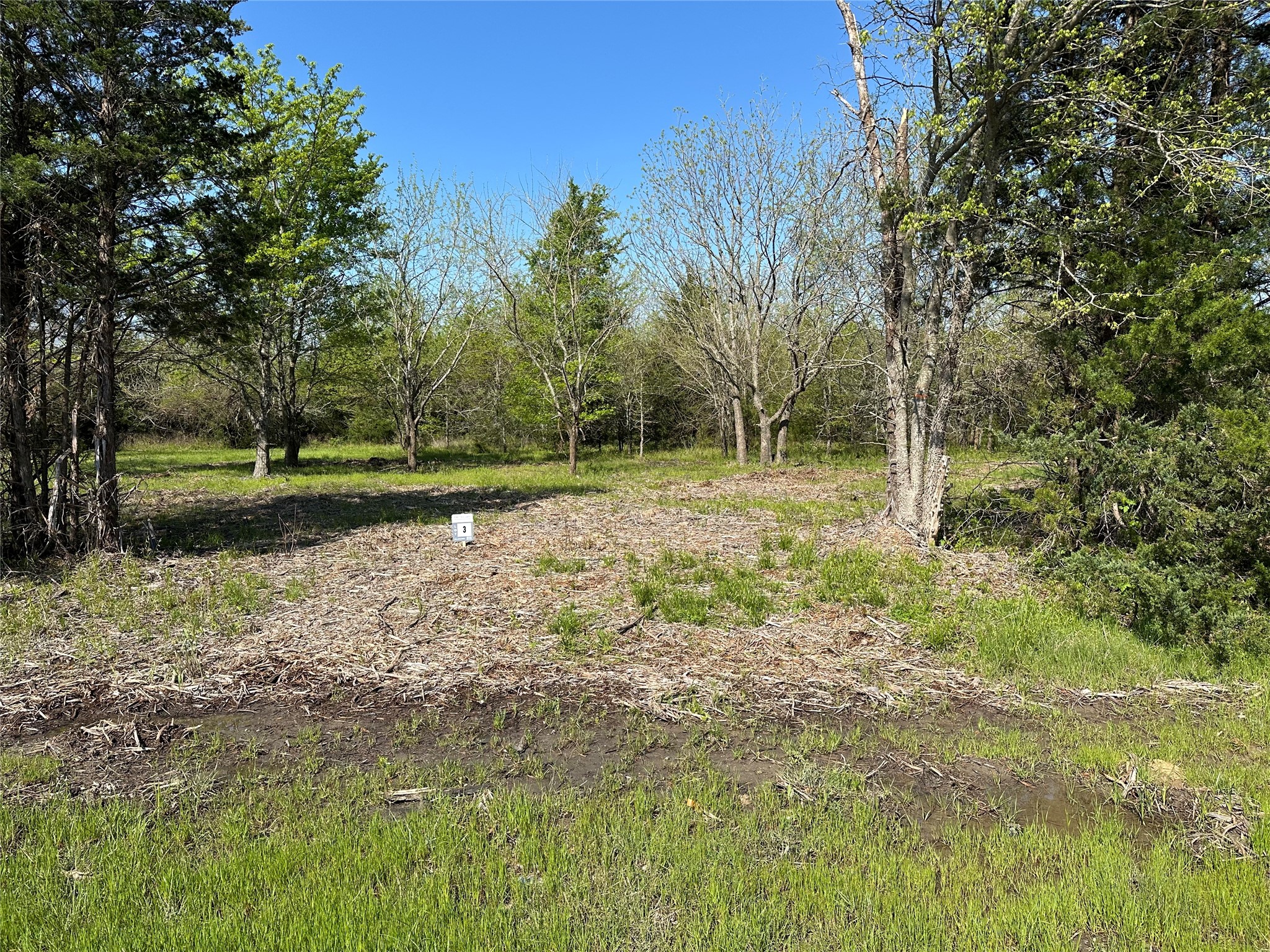 Tract 3 Farm To Market 1743 Honey Grove TX 75446