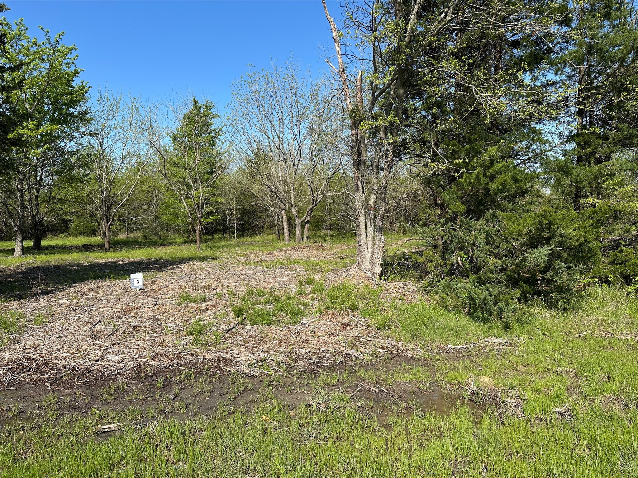 Tract 3 Farm To Market 1743 Honey Grove TX 75446