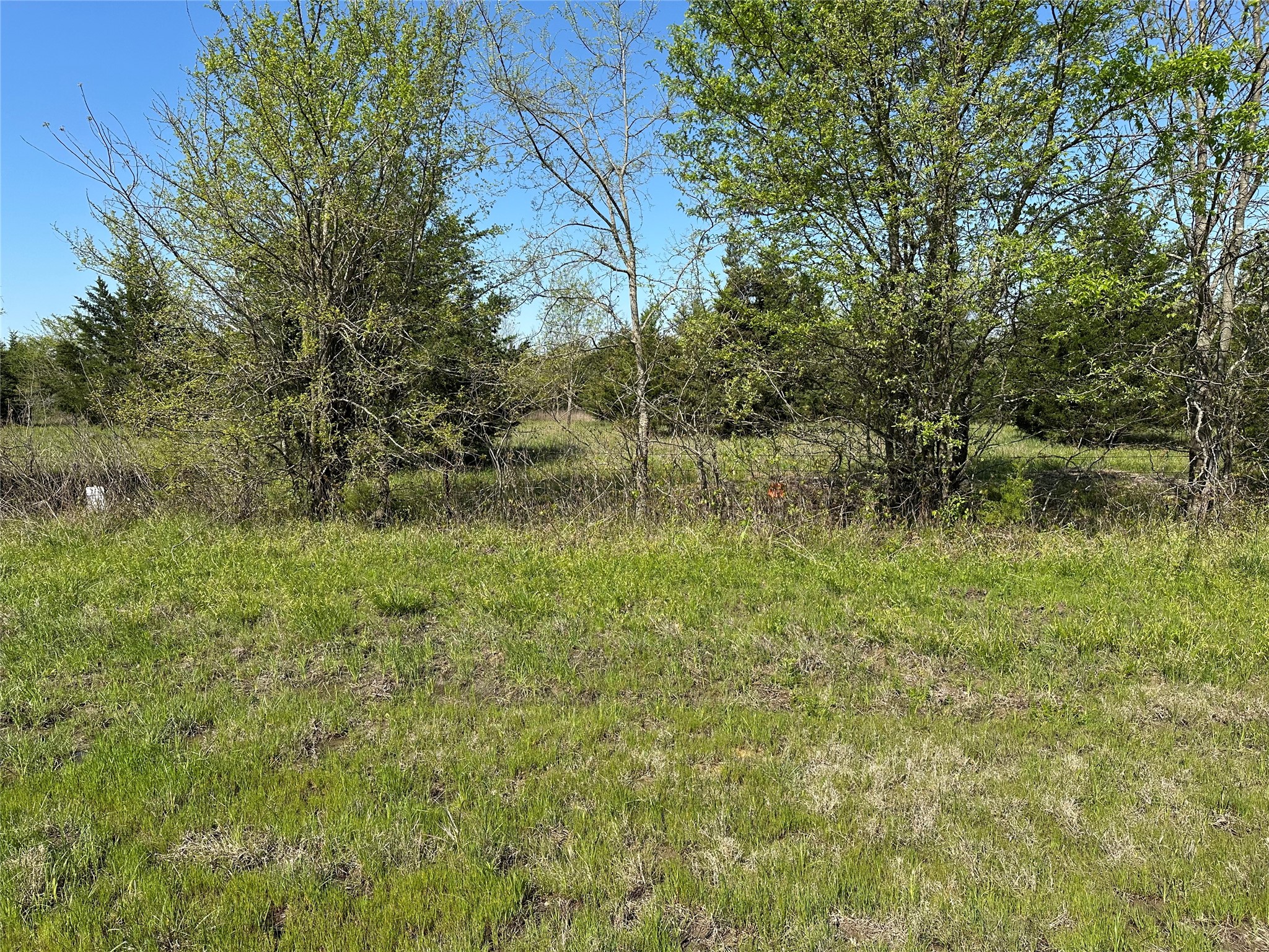 Tract 3 Farm To Market 1743 Honey Grove TX 75446