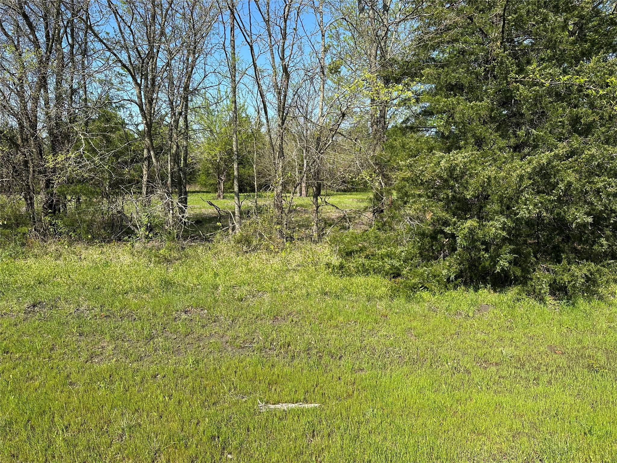 Tract 3 Farm To Market 1743 Honey Grove TX 75446
