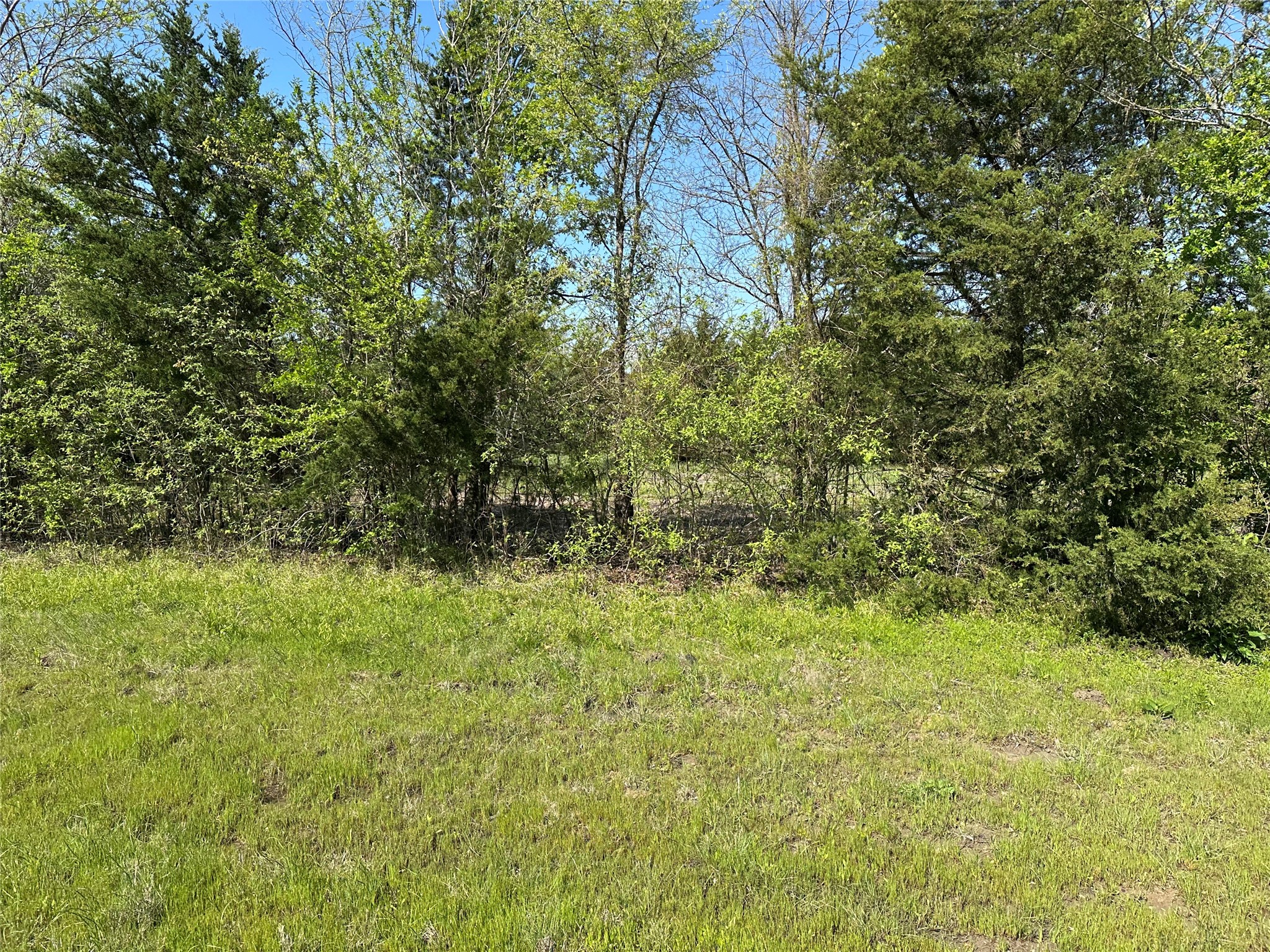 Tract 3 Farm To Market 1743 Honey Grove TX 75446