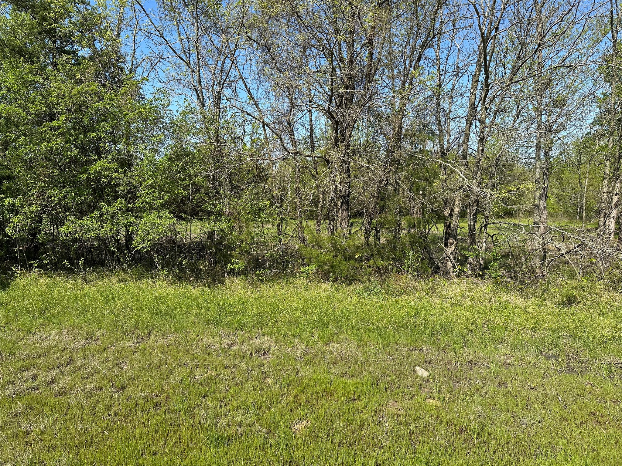 Tract 3 Farm To Market 1743 Honey Grove TX 75446