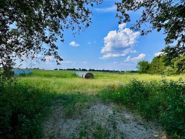 Tbd 19.933ac Tx-11 Bailey TX 75413