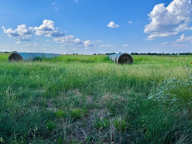 Tbd 19.933ac Tx-11 Bailey TX 75413