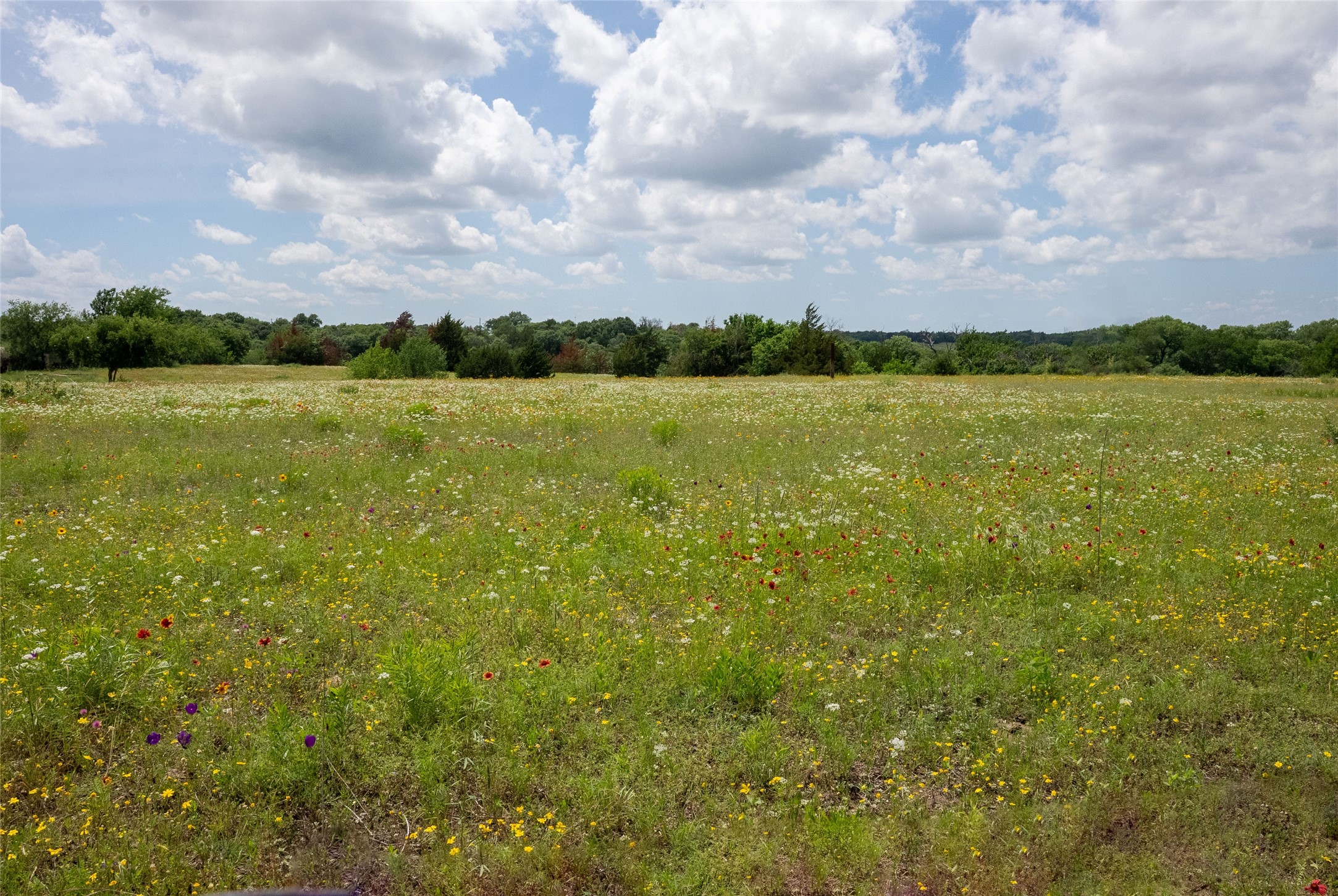 1846 N Fm 51 Decatur TX 76234