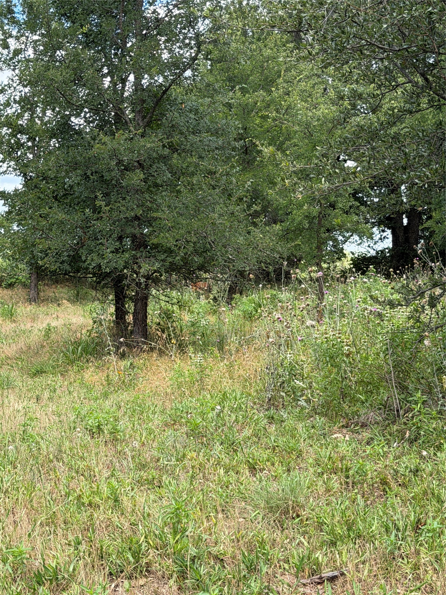 1024 Glen Road Weatherford TX 76087