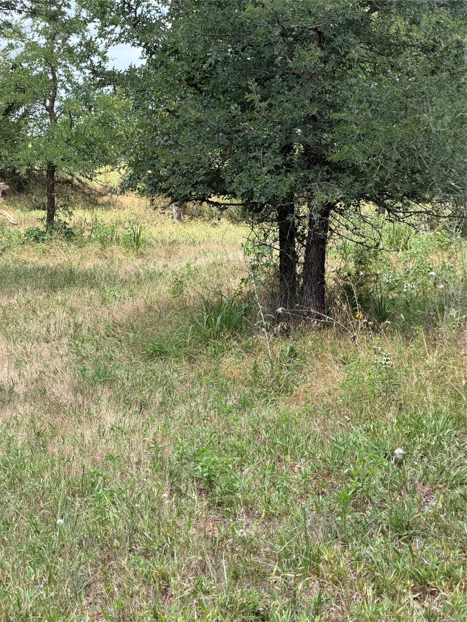 1024 Glen Road Weatherford TX 76087